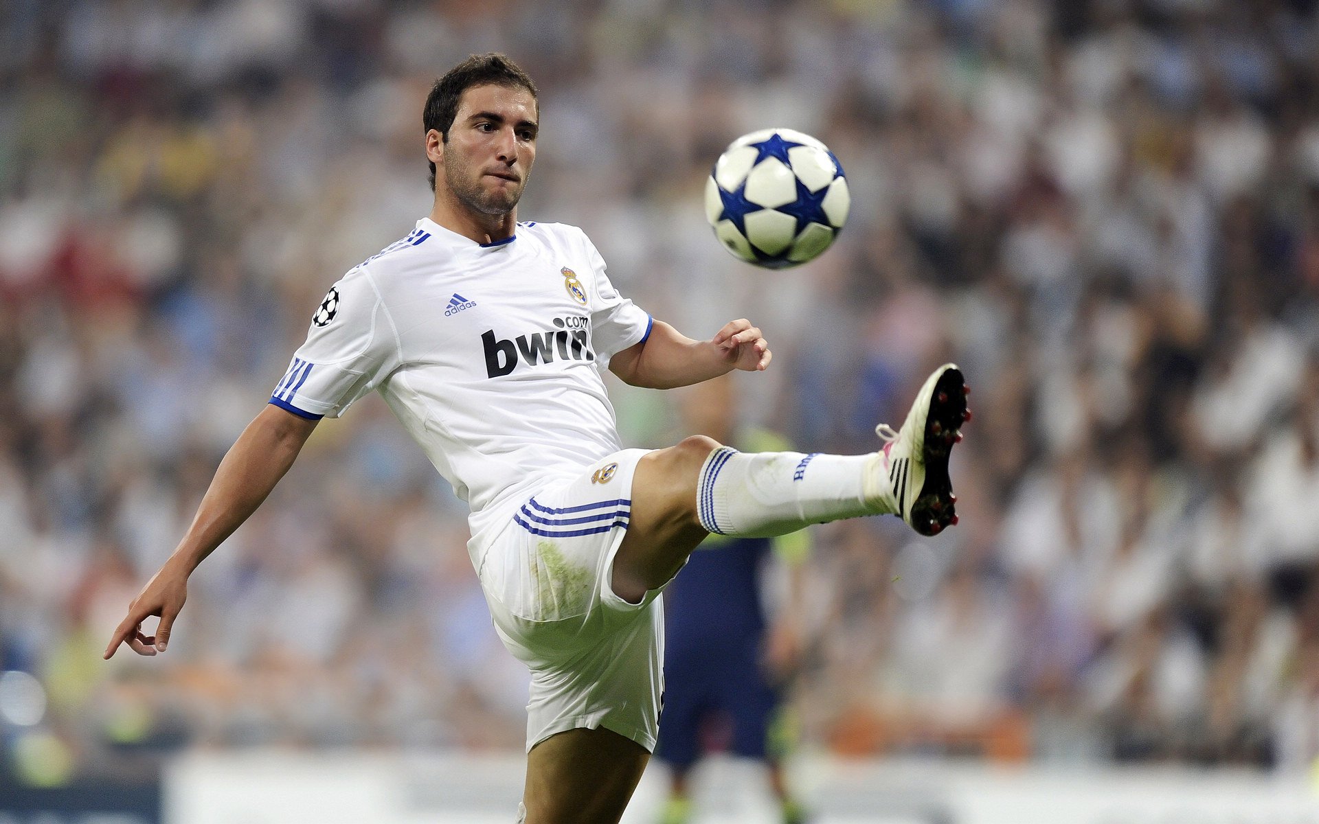 开云体育下载app-国际青少年足球合作联盟推动全球青训标准化，迈向行业新高峰，国际青少年足球邀请赛